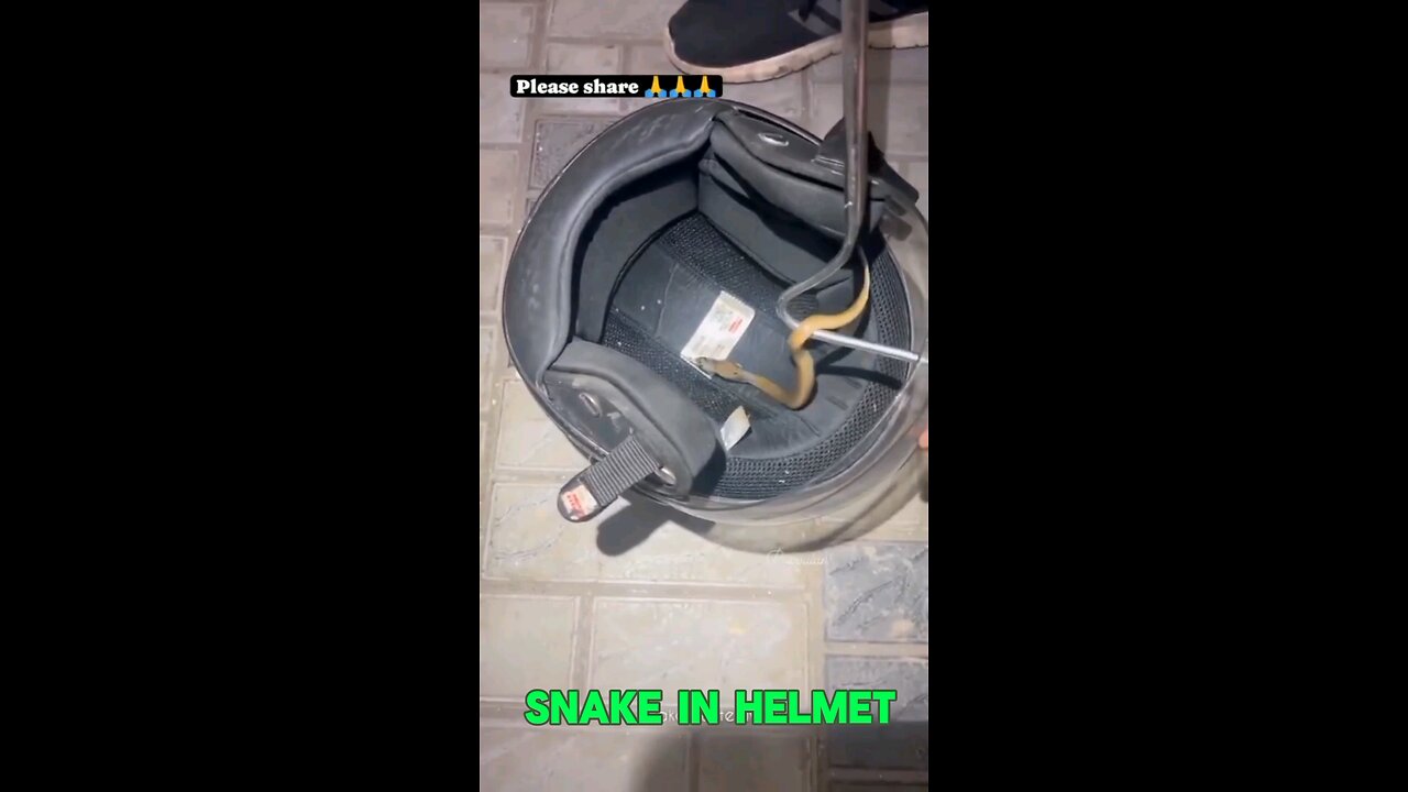 BANGLORE||SNAKE IN HELMET|Snake in Residential Home|#shorts#Viralshorts #youtubeshorts