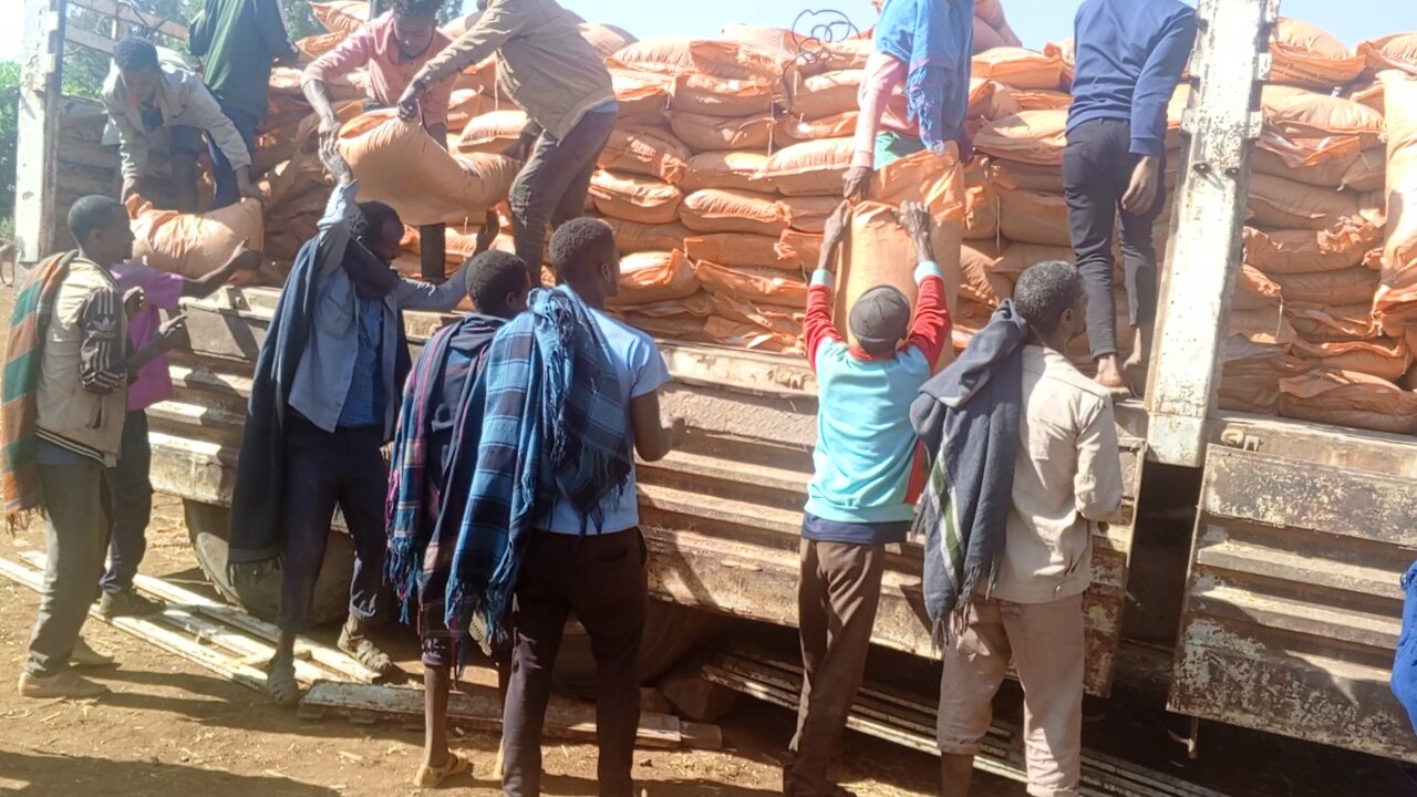 የአማራ ፋኖ በጎጃም የመንገሻ ጀንበሬ ብርጌድ በዳንግላ ወረዳ ዙሪያ አፈሳ ቀጠና ለሚገኙ አርሶ አደሮች የአፈር ማዳበሪያ በአነስተኛ ዋጋ አሰራጨ።