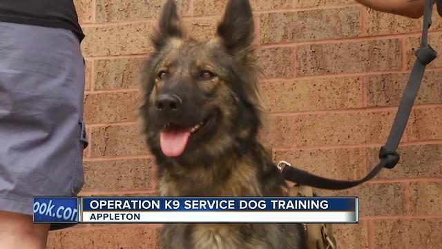 Operation K9 service dog training