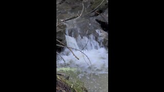 Fall at the Creek