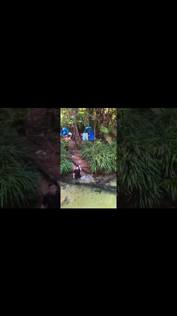 The Earth has music for those who listen.