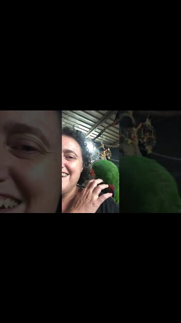 A sweet parrot made friends with me 💕