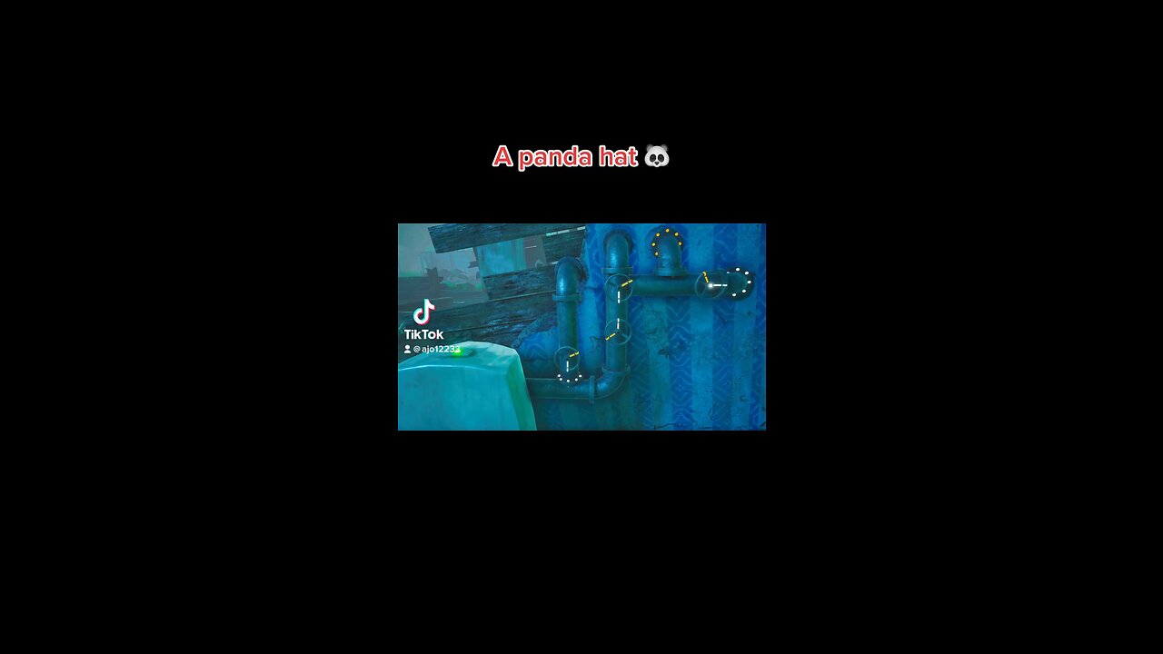 A panda hat 🐼