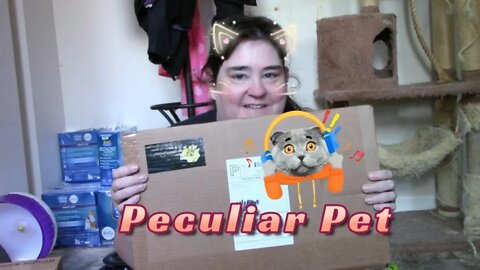 Peculiar Pet Cats Box August 2022 😻