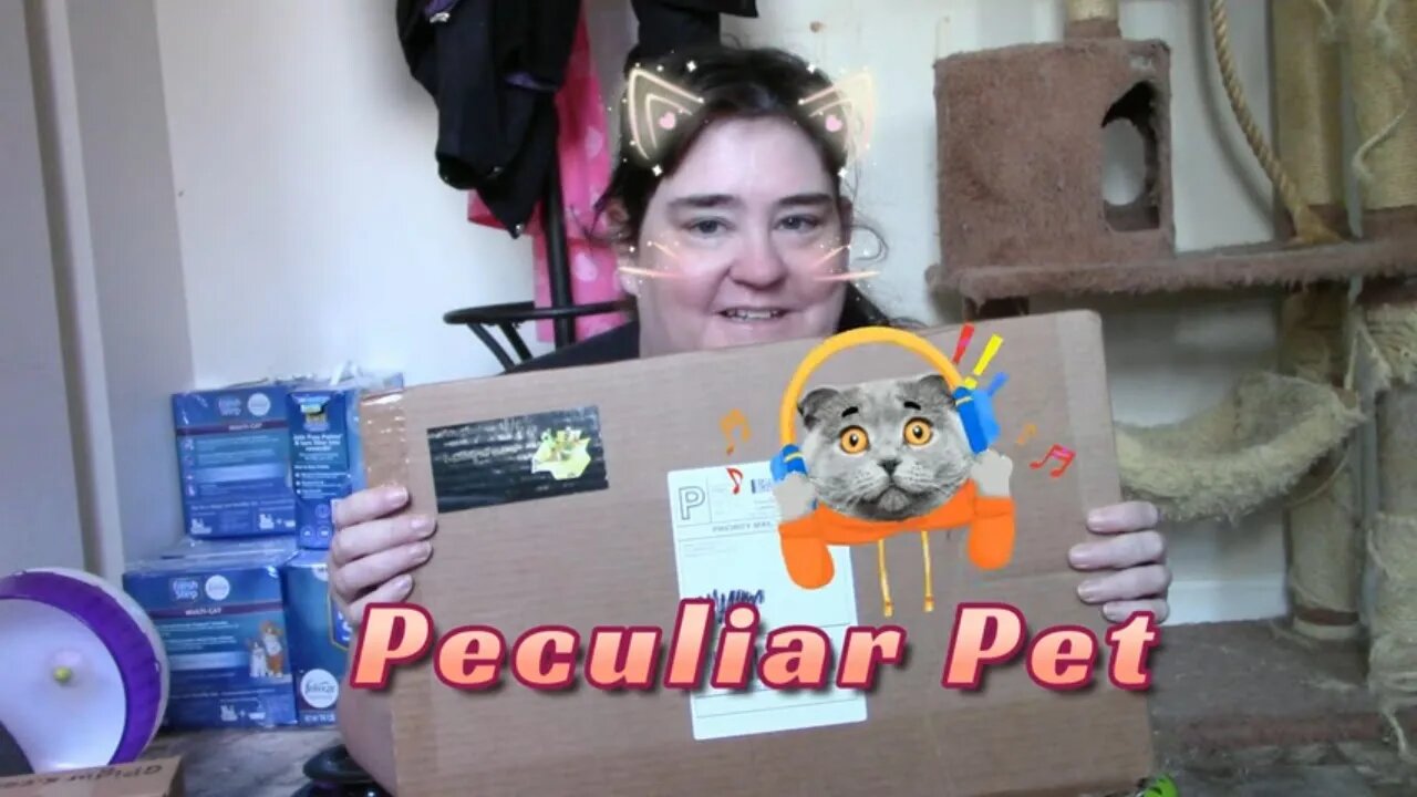 Peculiar Pet Cats Box August 2022 😻