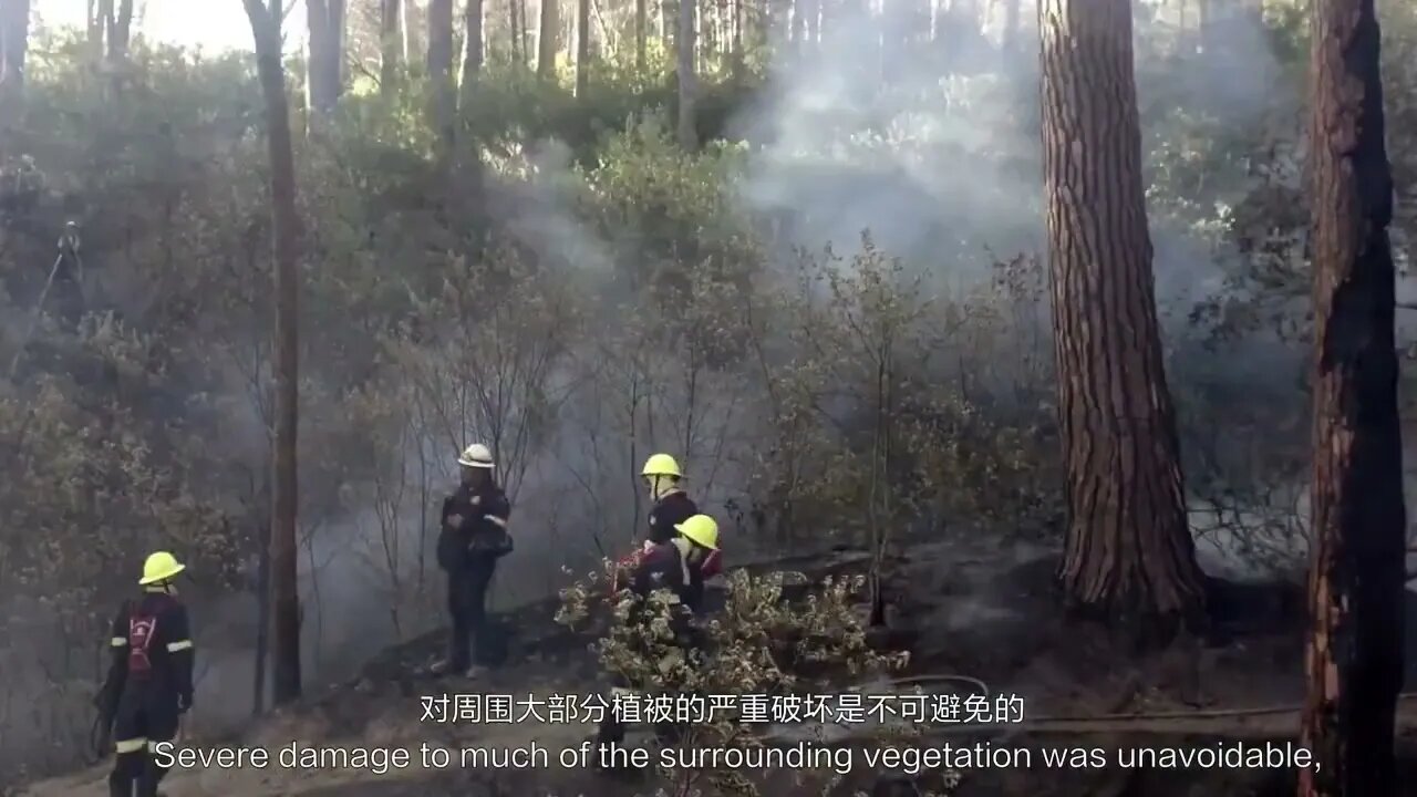 Forest fire prevention should pay attention to 85% of wildfires are caused by humans 6
