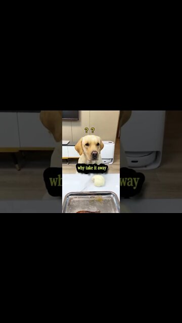 Amazing reaction 😅 ! #shorts