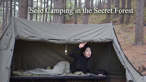 Who Showed Up during Solo Camping in the Secret Forest?