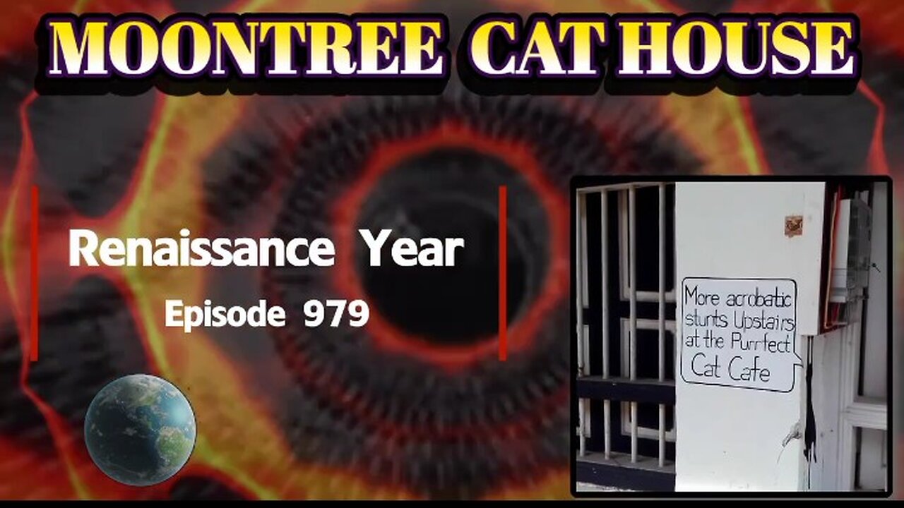 Moontree Cat House: Full Metal Ox Day 914
