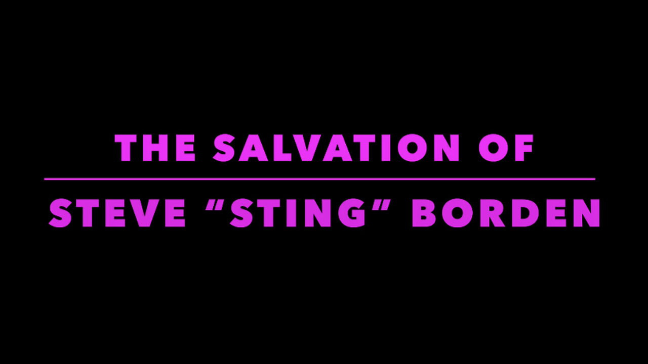 THE SALVATION OF STEVE “STING” BORDEN