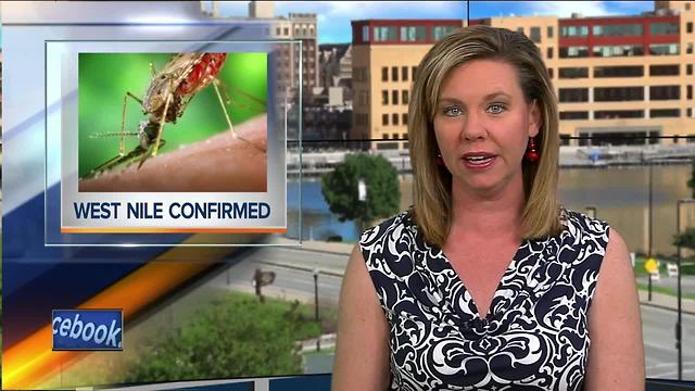 Dead crow in Brown County tests positive for West Nile virus