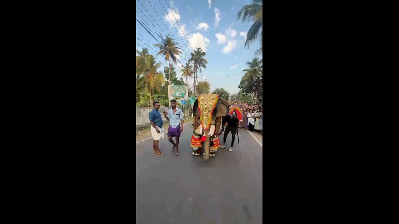 Elephant Dance