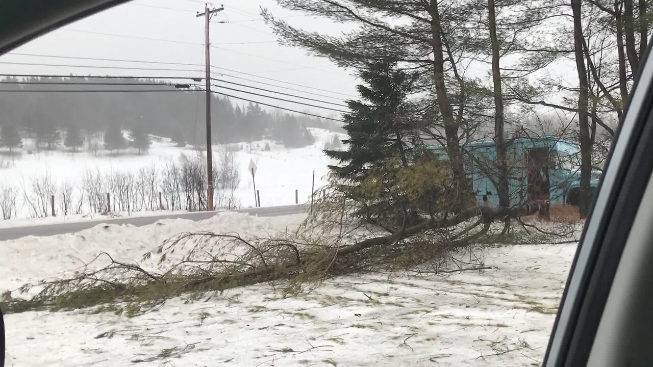 Winter Storm Elliot downs trees, ice hail damage & power outages