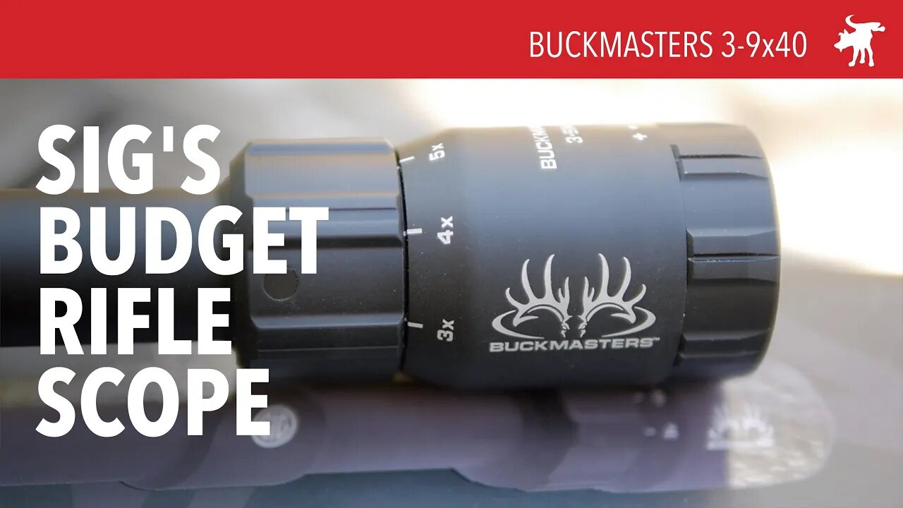 Sig Saur Buckmasters 3-9x40 scope