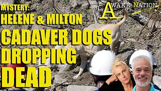 The Awake Nation Mystery: Helene & Milton Cadaver Dogs Dropping Dead