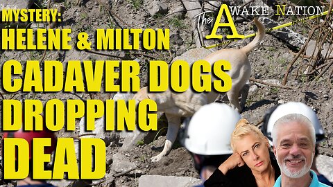 The Awake Nation Mystery: Helene & Milton Cadaver Dogs Dropping Dead