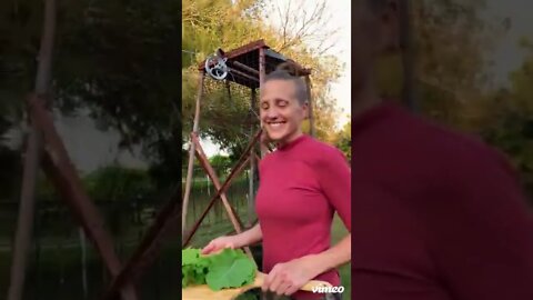 Excited about the Clothesline Pulley Project! 〰🧦〰👚〰🧺〰⚙️#shorts #viral #tiktok