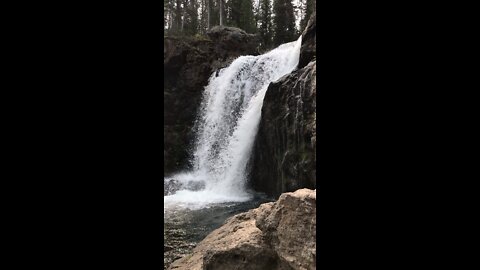 Yellowstone 2021