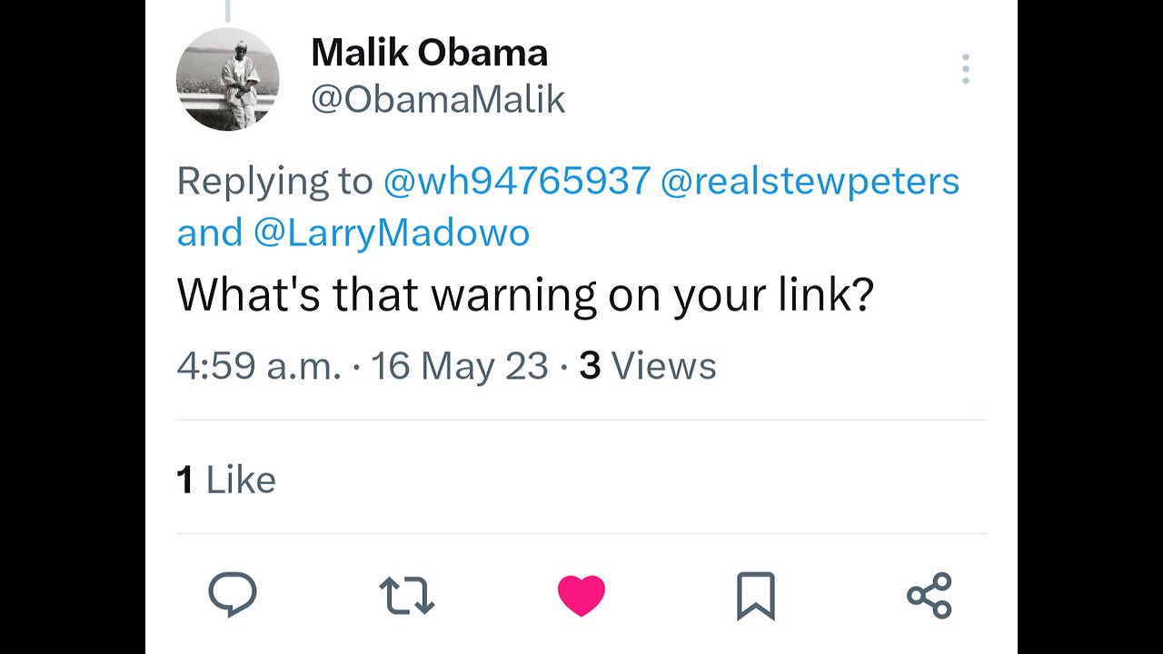 Zionist Inspection Day is working out an Interview with Obama's Brother