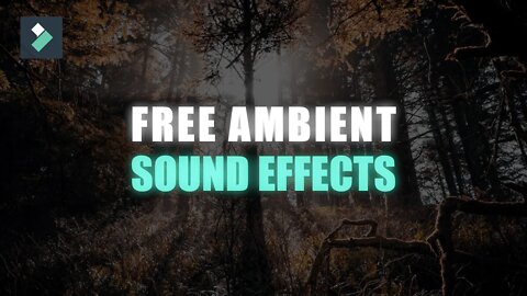 Free Ambient Sounds 💥🎶