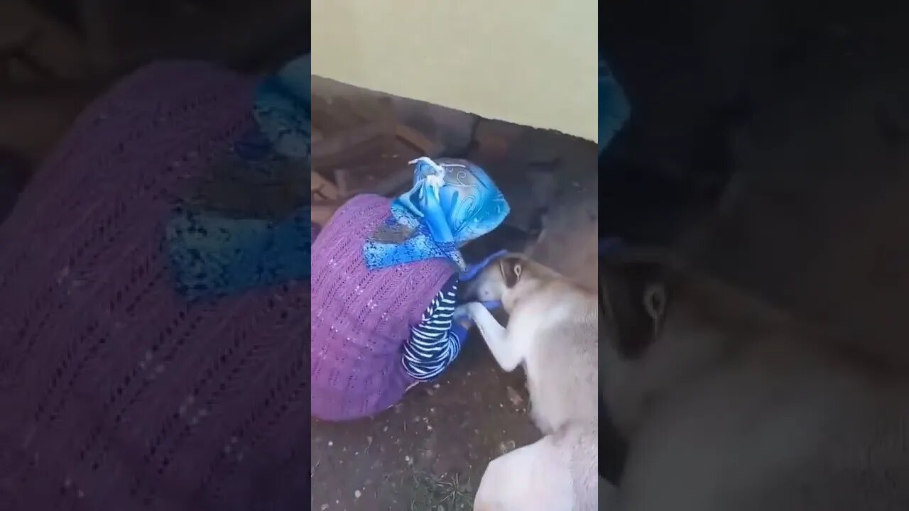 Mama Dog showing gratitude