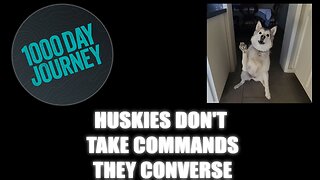 1000 Day Journey 0489 Huskies Don't Take Commands They Converse