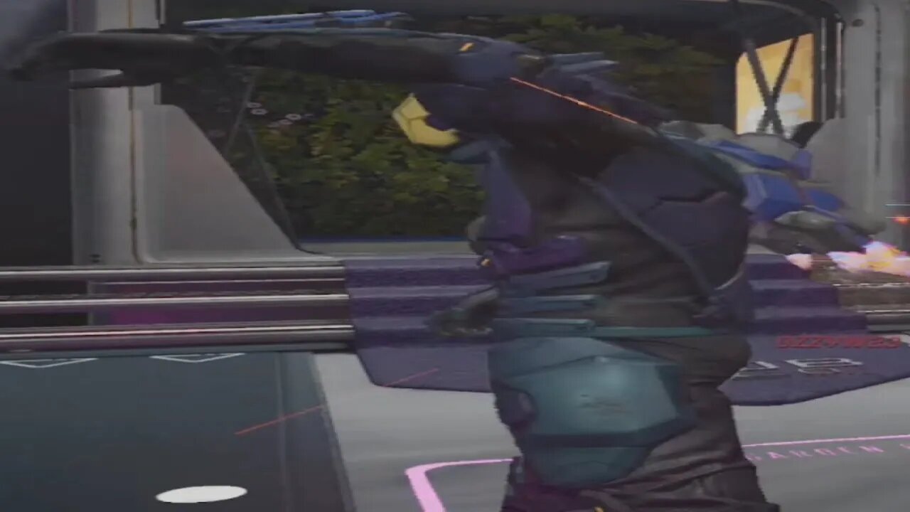 i played with a nitbag