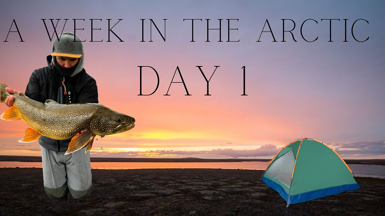 A Week in the Arctic, Day 1