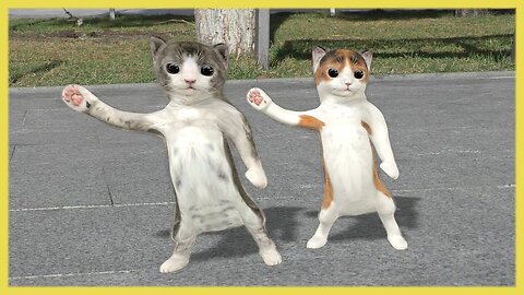 Dancing cats