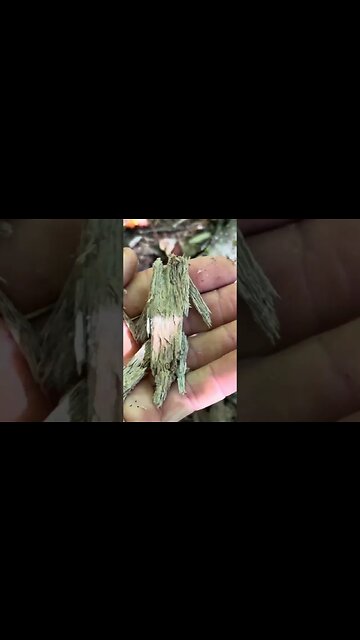 Prep for SHTF Expert Tips I ON3 Three Jason