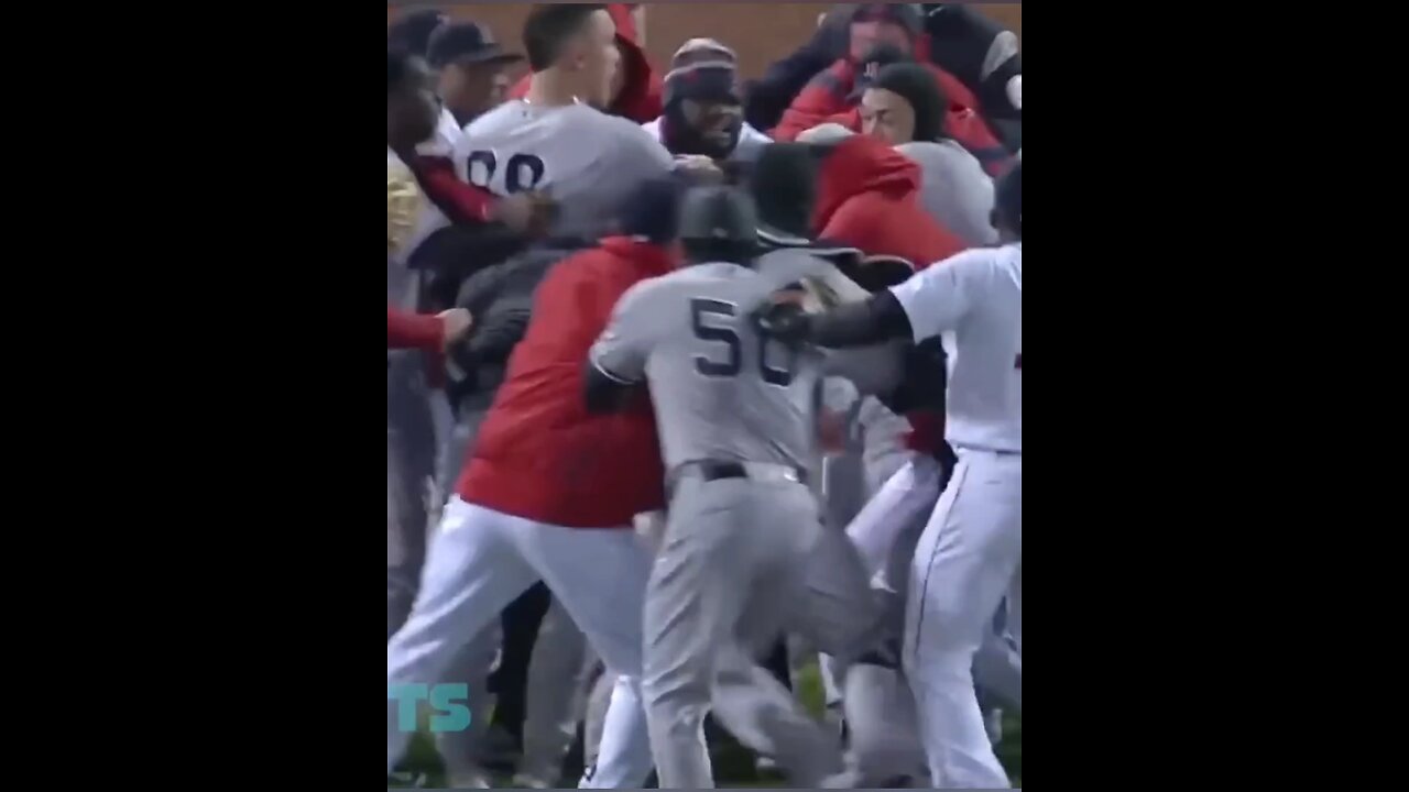 Fight like a Gali boy | Baseball