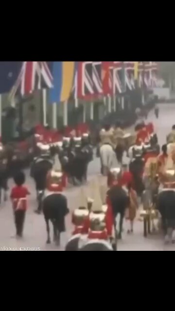 Dancing horse at the kings procession