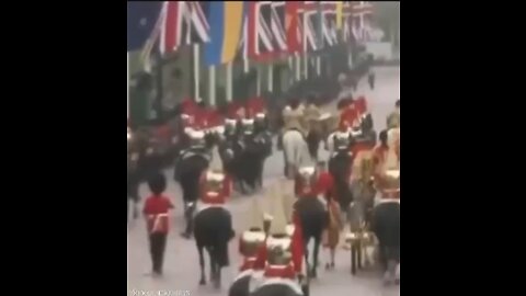 Dancing horse at the kings procession