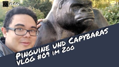 Pinguine, Capybaras und Co. | Otaku Explorer VLOG