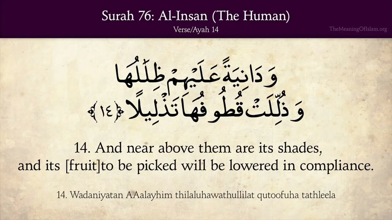 English Quran | Chapter 76 | Surah Al-Insan ( The Human )