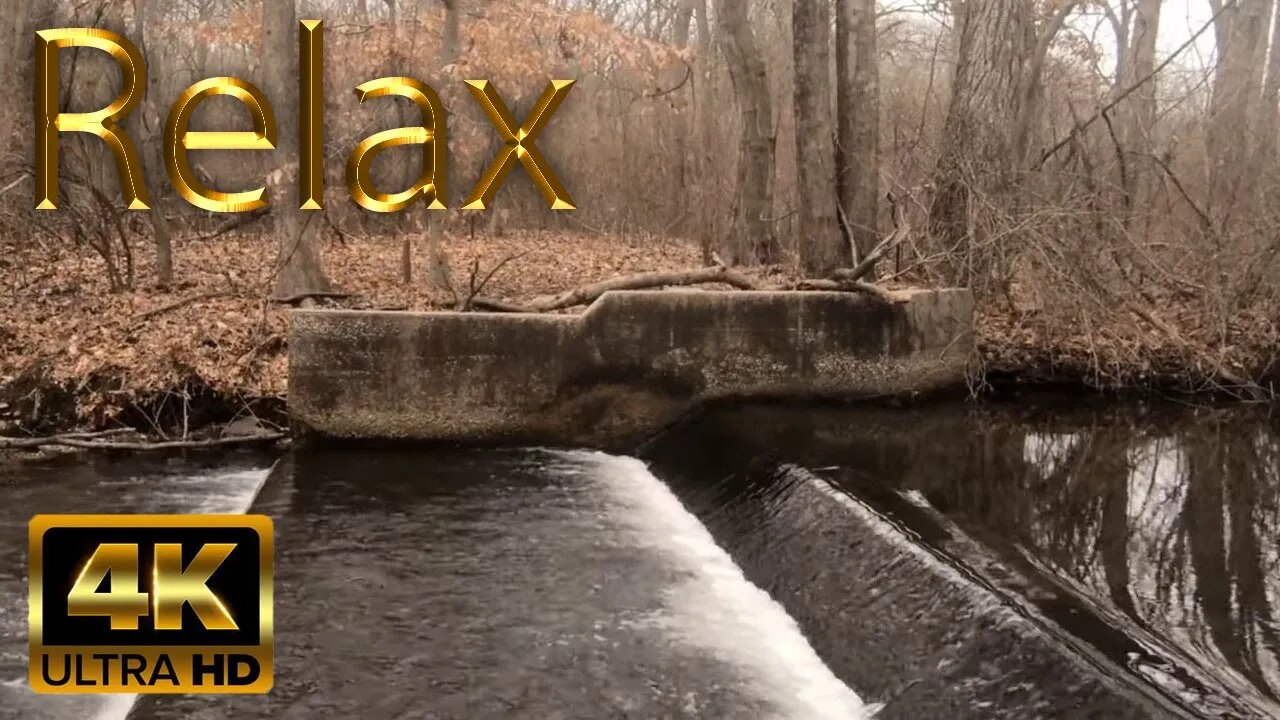 Inspiring Autumn Stream in Massapequa Preserve