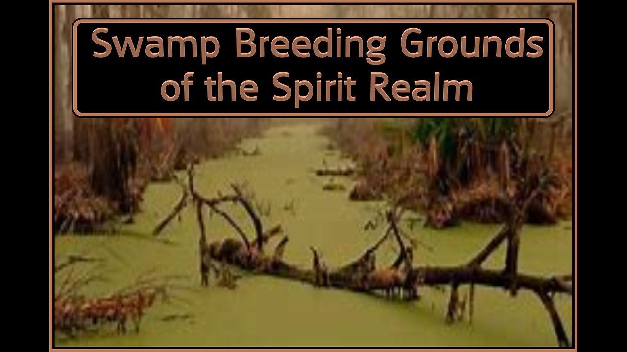 SWAMP BREEDING GROUNDS OF THE SPIRIT REALM #221 LCM