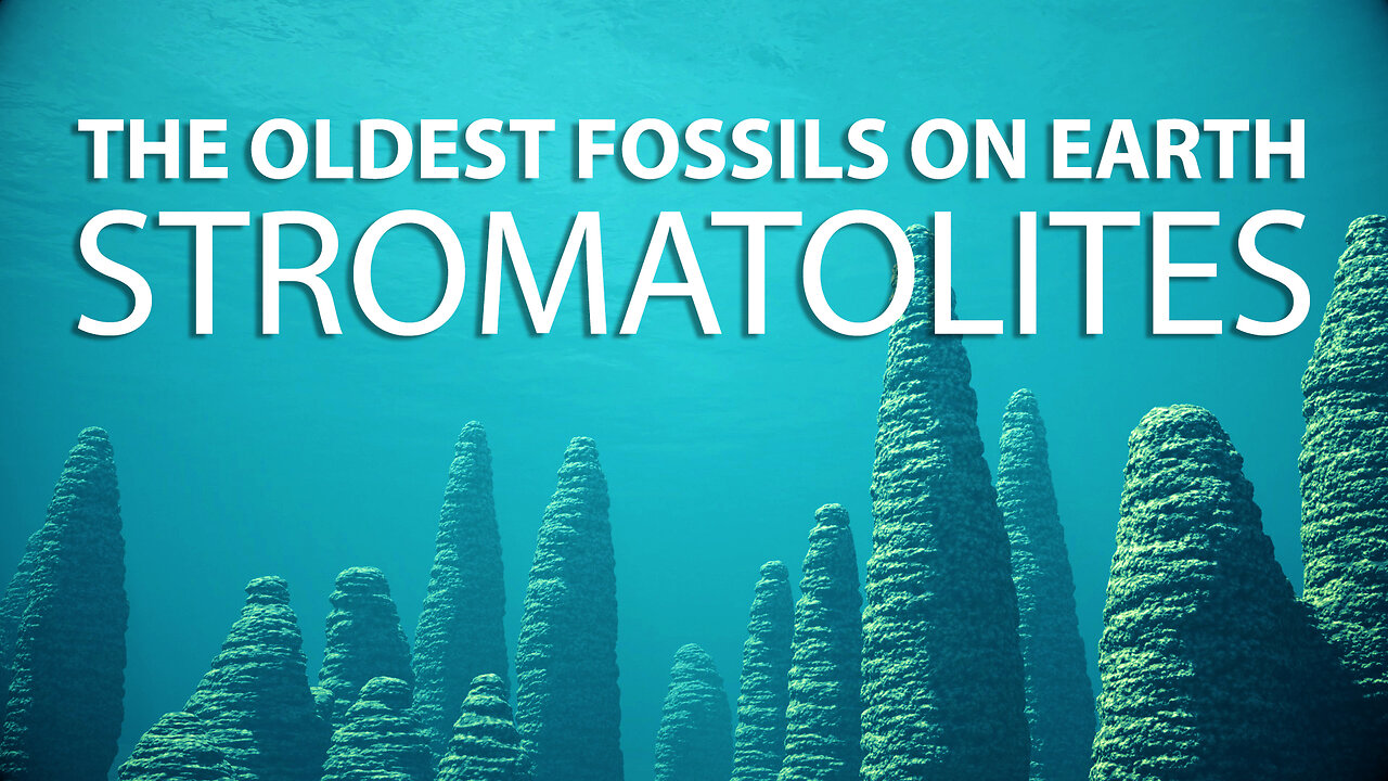 STROMATOLITES: Discovering the Oldest Fossils on Earth