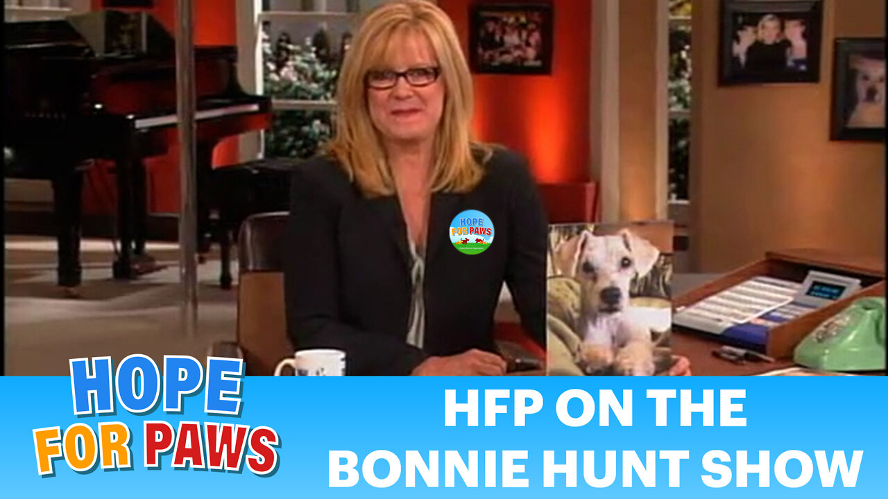 Hope For Paws on the Bonnie Hunt Show