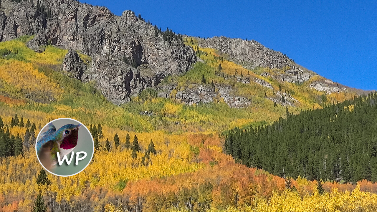 Rosalie & Abyss | Guanella Pass | Colorado Trails