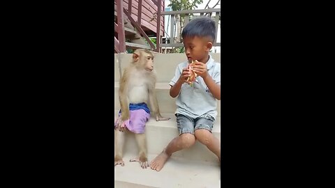 how polite boy