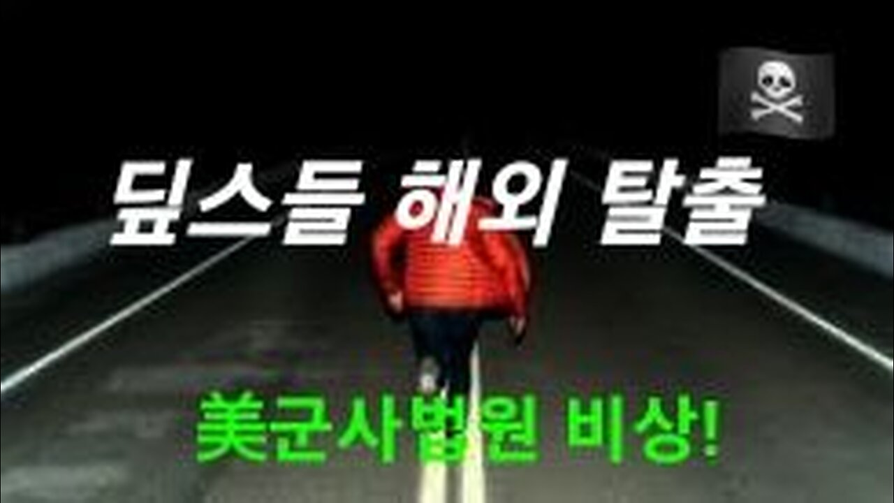 딮스들 해외 탈출중 221118