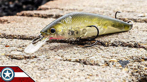 Jerkbait PB Largemouth Bass