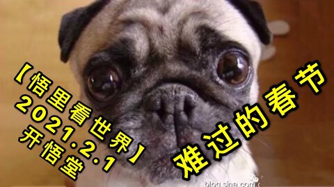 KWT989(1)难过的春节20210201-13【悟里看世界】