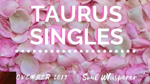 TAURUS SINGLES: Make the Best From This Connection * November