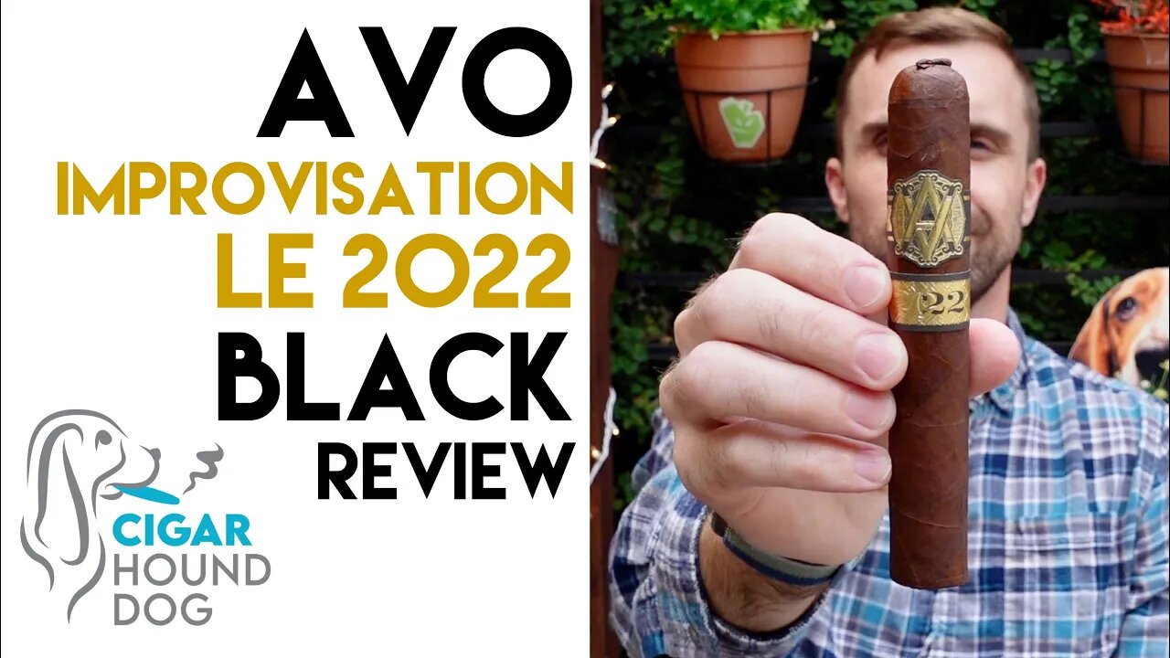 Avo Improvisation Limited Edition 2022 Black Cigar Review