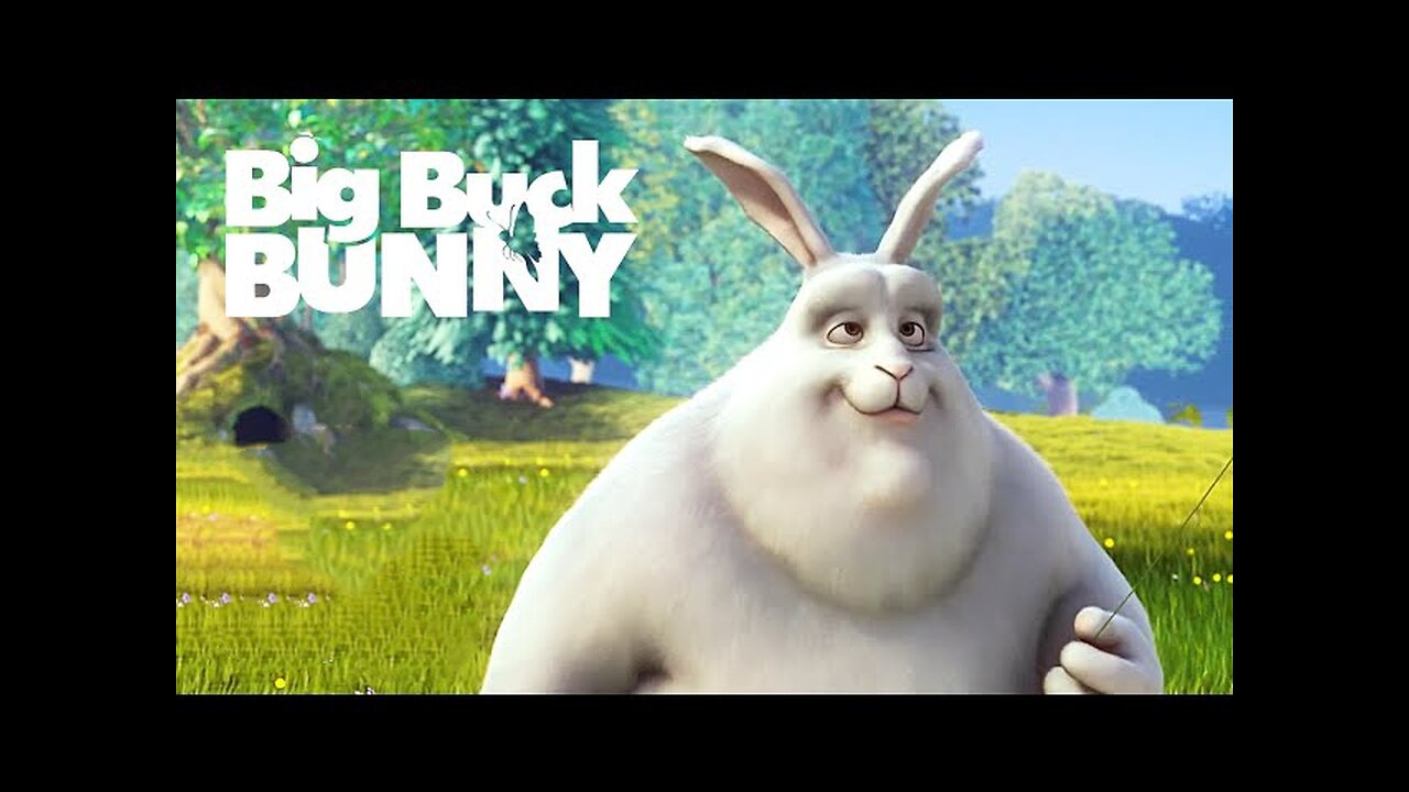 Big buck bunny video