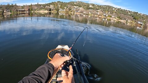 Kayak monsters!