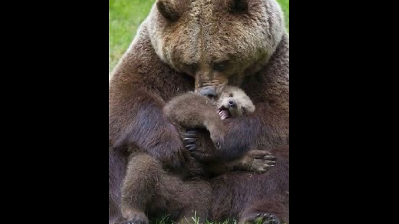 mother love