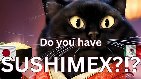 Geisha Cat Craves Sushi-Mex Fiesta 🍣🐱 | ビリーとロックの食の冒険！